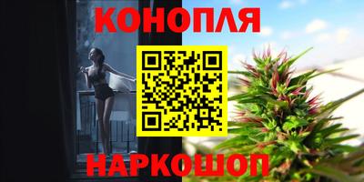 гашик Обь